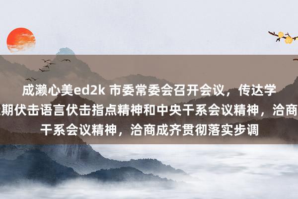 成濑心美ed2k 市委常委会召开会议，传达学习习近平总文告近期伏击语言伏击指点精神和中央干系会议精神，洽商成齐贯彻落实步调