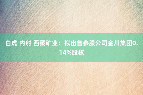 白虎 内射 西藏矿业：拟出售参股公司金川集团0.14%股权