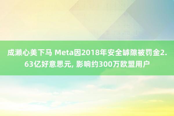 成濑心美下马 Meta因2018年安全罅隙被罚金2.63亿好意思元, 影响约300万欧盟用户