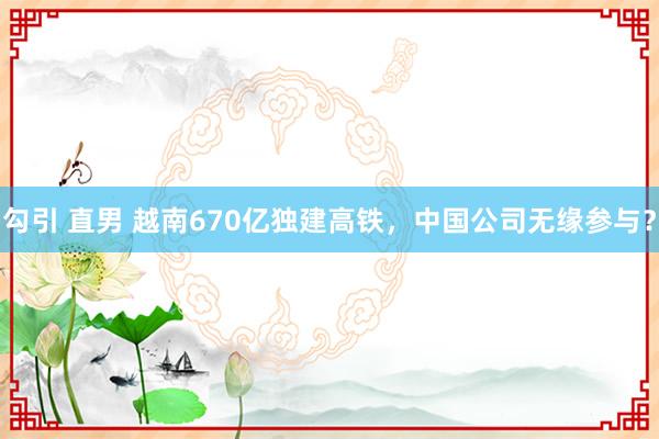 勾引 直男 越南670亿独建高铁，中国公司无缘参与？