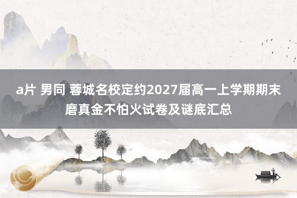 a片 男同 蓉城名校定约2027届高一上学期期末磨真金不怕火试卷及谜底汇总