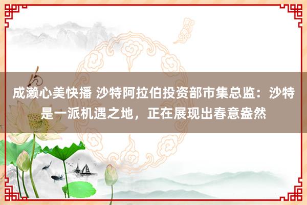 成濑心美快播 沙特阿拉伯投资部市集总监：沙特是一派机遇之地，正在展现出春意盎然