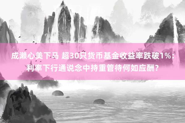 成濑心美下马 超30只货币基金收益率跌破1%：利率下行通说念中持重管待何如应酬？