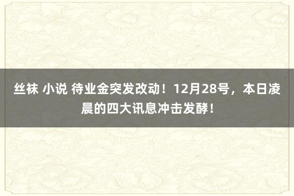 丝袜 小说 待业金突发改动！12月28号，本日凌晨的四大讯息冲击发酵！