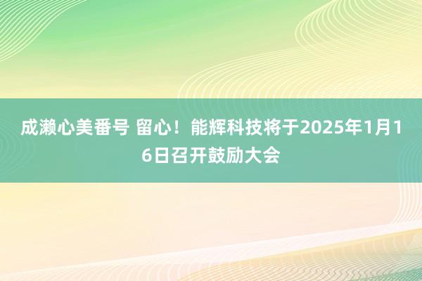 成濑心美番号 留心！能辉科技将于2025年1月16日召开鼓励大会