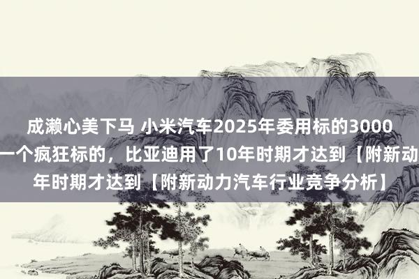 成濑心美下马 小米汽车2025年委用标的300000台！雷军：这不是一个疯狂标的，比亚迪用了10年时期才达到【附新动力汽车行业竞争分析】