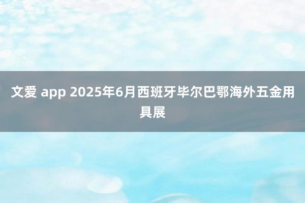 文爱 app 2025年6月西班牙毕尔巴鄂海外五金用具展