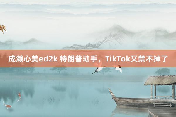 成濑心美ed2k 特朗普动手，TikTok又禁不掉了