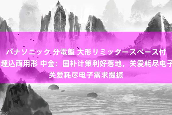 パナソニック 分電盤 大形リミッタースペース付 露出・半埋込両用形 中金：国补计策利好落地，关爱耗尽电子需求提振