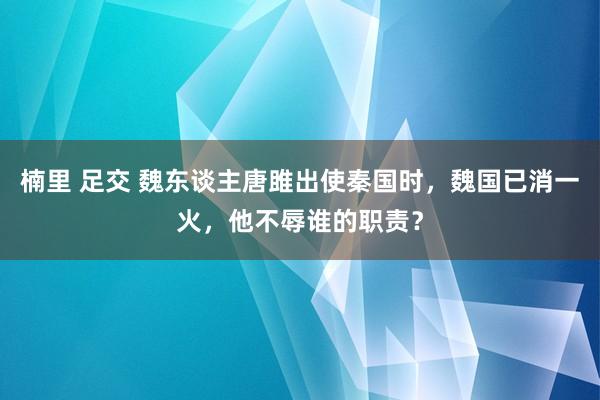 楠里 足交 魏东谈主唐雎出使秦国时，魏国已消一火，他不辱谁的职责？