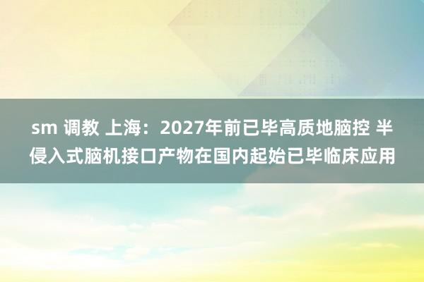 sm 调教 上海：2027年前已毕高质地脑控 半侵入式脑机接口产物在国内起始已毕临床应用