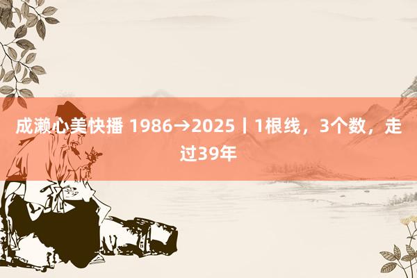 成濑心美快播 1986→2025丨1根线，3个数，走过39年