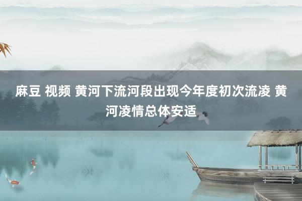 麻豆 视频 黄河下流河段出现今年度初次流凌 黄河凌情总体安适