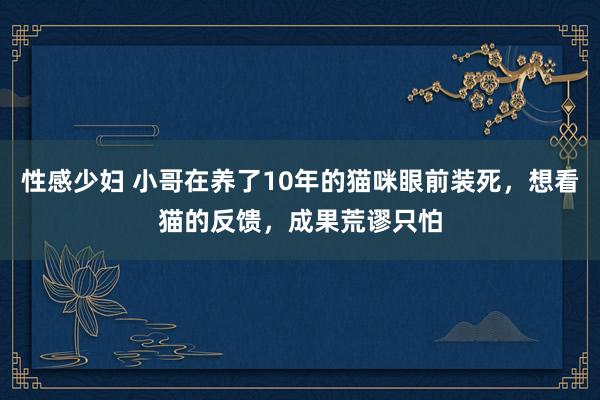 性感少妇 小哥在养了10年的猫咪眼前装死，想看猫的反馈，成果荒谬只怕