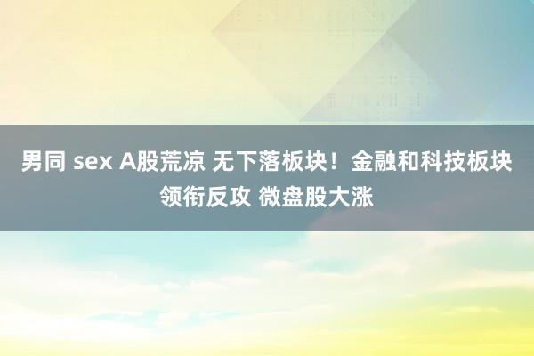 男同 sex A股荒凉 无下落板块！金融和科技板块领衔反攻 微盘股大涨