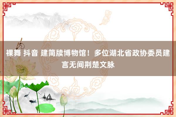 裸舞 抖音 建简牍博物馆！多位湖北省政协委员建言无间荆楚文脉