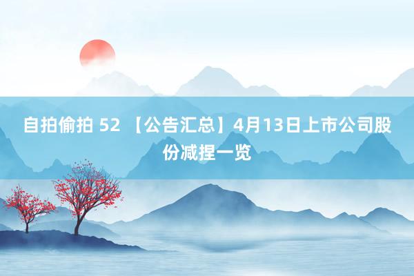 自拍偷拍 52 【公告汇总】4月13日上市公司股份减捏一览